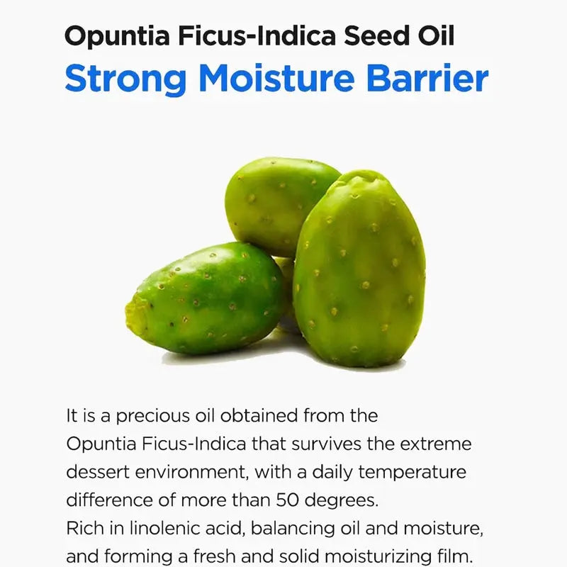 Isntree Hyaluronic Acid Water Essence Hyaluronic Acid Serum 50ml Isntree