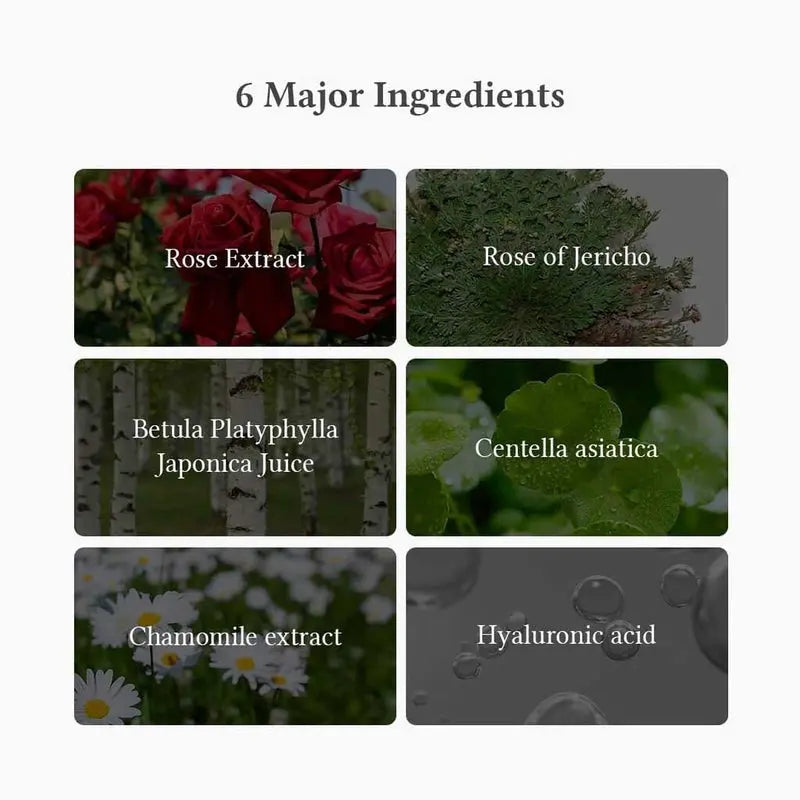 Dr. Althea Oasis Soothing Facial Sheet Mask, Pack of 5’s Dr. Althea