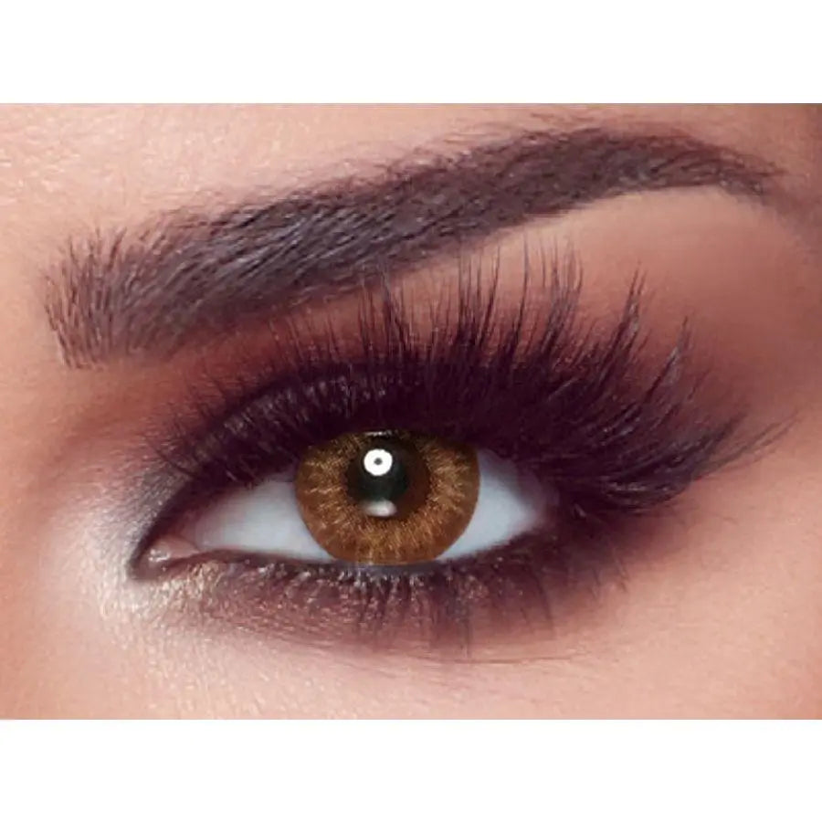 Bella Contact Lenses One Day Almond Brown 10's Bella