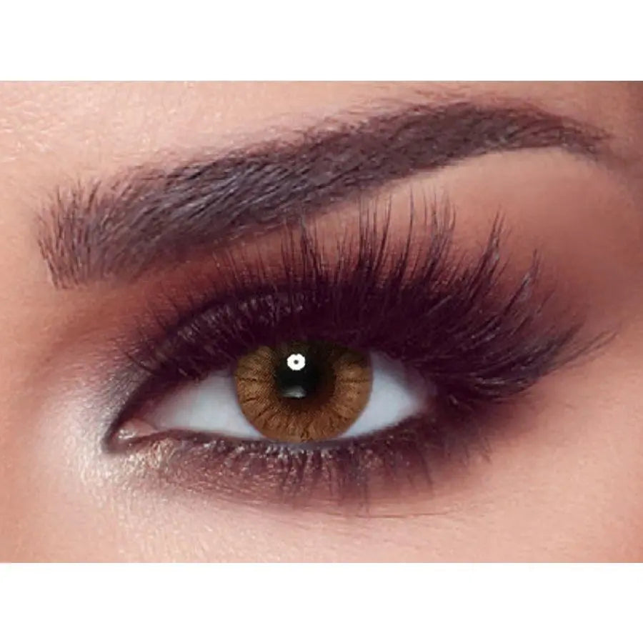 Bella Contact Lenses One Day Hazel Honey 10's Bella