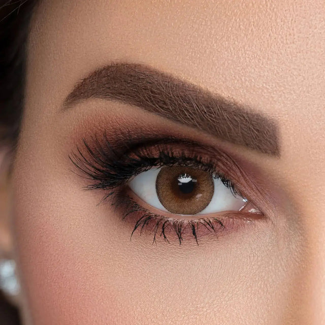 Sama Daily Contact Lenses Sweet Brown Color 10's Sama