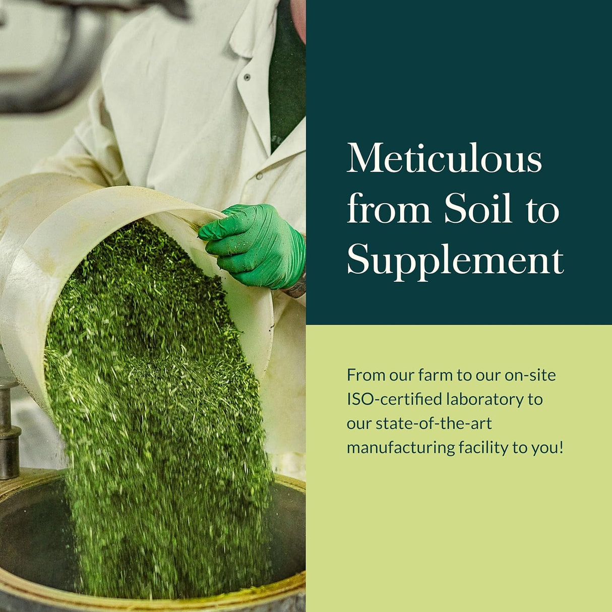 Gaia Herbs Kids Black Elderberry Syrup 3 Oz - 89 ml