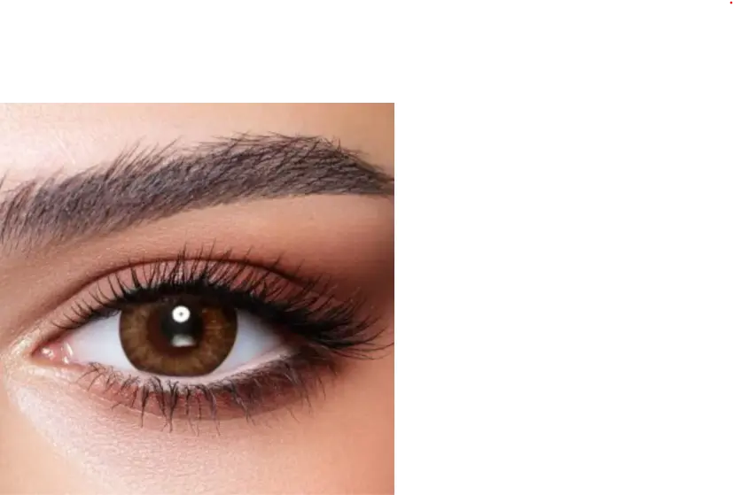 Bella Contact Lenses One Day Almond Brown 10's Bella