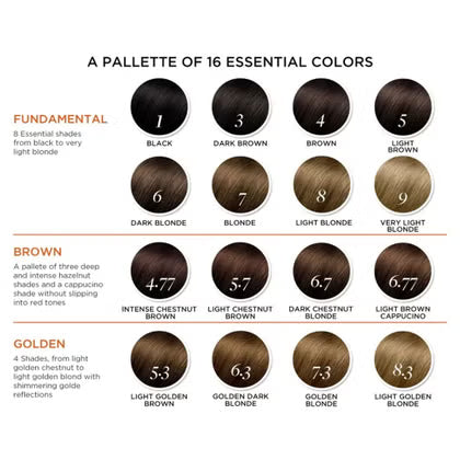 Phyto Phytocolor Permanent Hair Color - 4 Brown