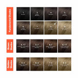 Phyto PhytoColor Permanent Hair Color Cream - 8 Light Blonde