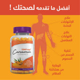 Holista Curcumin - 1260 Mg - 120 Gummies Holista