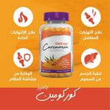 Holista Curcumin - 1260 Mg - 120 Gummies Holista