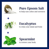 Dr Teal's Pure Epsom Salt Soaking Solution With Eucalyptus And Spearmint 450 g