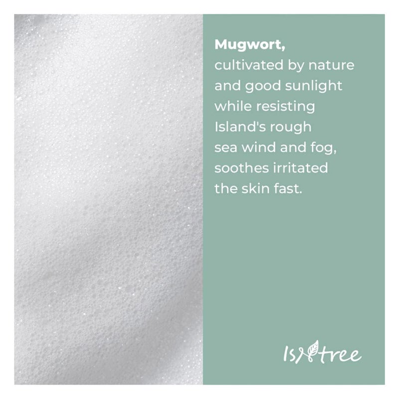 Isntree Mugwort Calming Powder Wash 25g, Pack of 25's Isntree