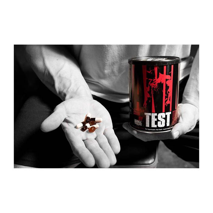 Universal Nutrition Animal Test - 21 Packs