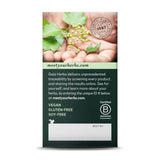 Gaia Herbs Lactation Support - 60 Capsules