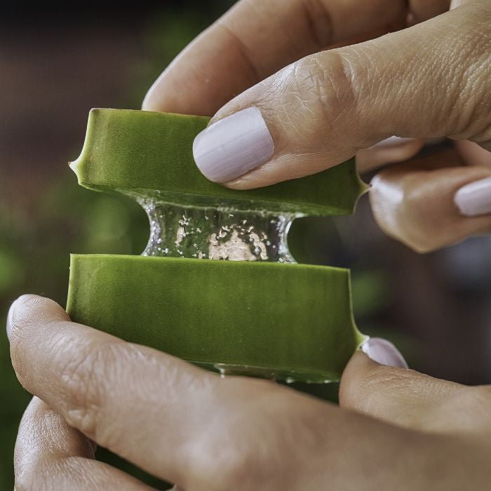 So Bio Etic Organic Soothing Micellar Water Aloe Vera Sensitive and Reactive Skin 99% Natural 500ml