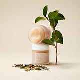 Dr. Ceuracle Vegan Kombucha Tea Gel Cream Probiotic Hydrating Detox Moisturizer 75g