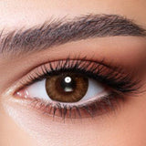 Bella Contact Lenses One Day Almond Brown 10's