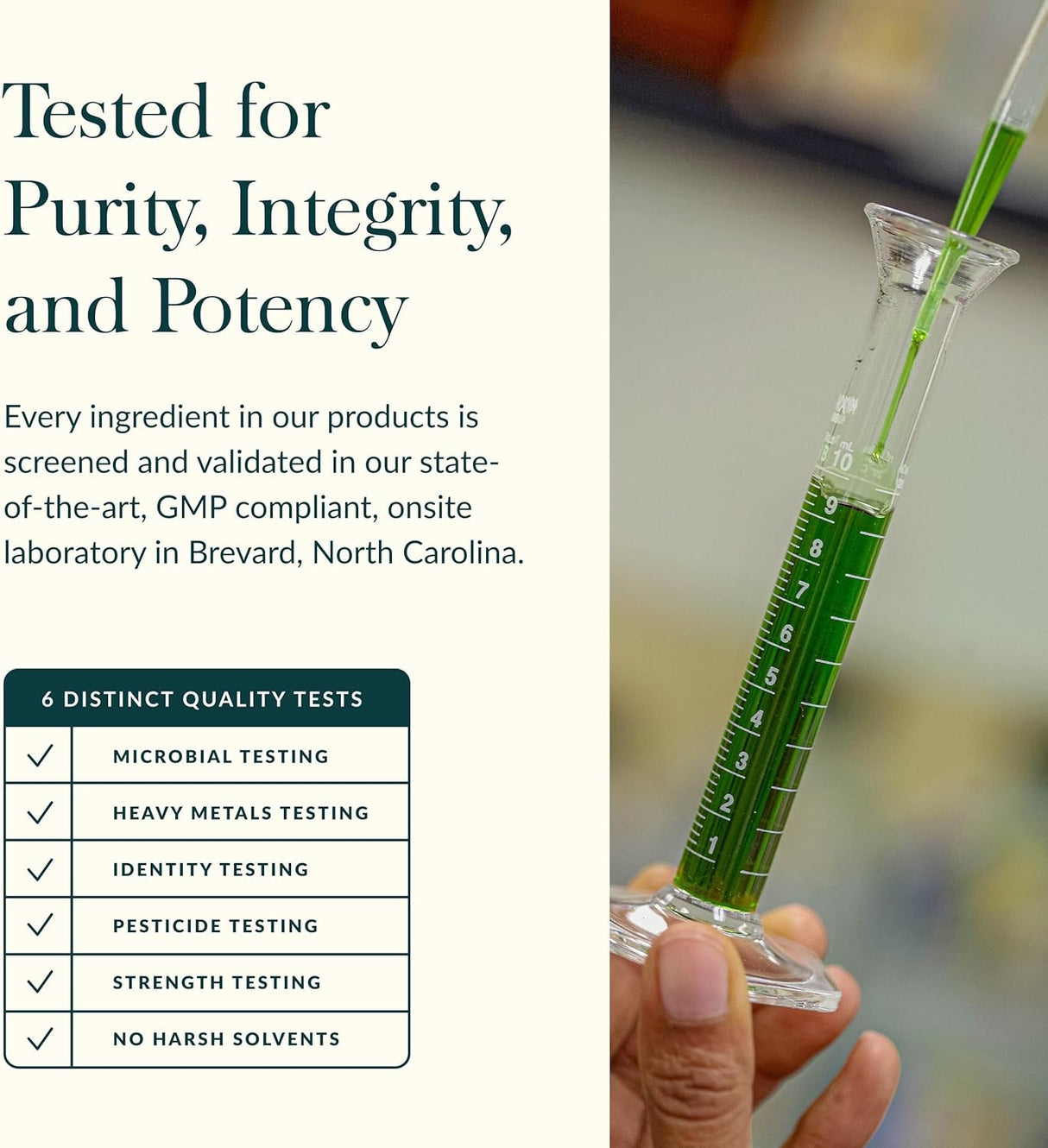 Gaia Herbs Kids Black Elderberry Syrup 3 Oz - 89 ml