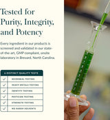 Gaia Herbs Kids Black Elderberry Syrup 3 Oz - 89 ml