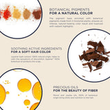 Phyto Phytocolor Permanent Natural Hair Color - 3 Dark Brown