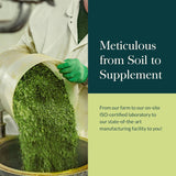 Gaia Herbs Kids Black Elderberry Syrup 3 Oz - 89 ml