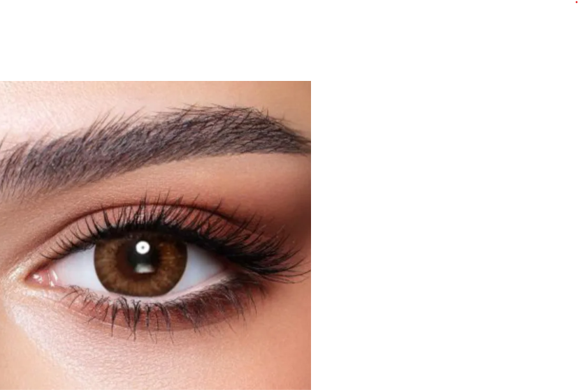 Bella Contact Lenses One Day Almond Brown 10's