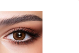 Bella Contact Lenses One Day Almond Brown 10's