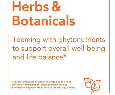 Now Ginkgo Biloba 60mg Vegetarian Capsules For Brain Health, Pack of 60's