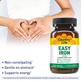 Country Life Easy Iron 25 mg Iron Deficiency Supplement Capsules, Pack of 90's