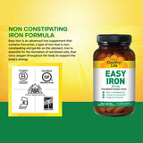 Country Life Easy Iron 25 mg Iron Deficiency Supplement Capsules, Pack of 90's