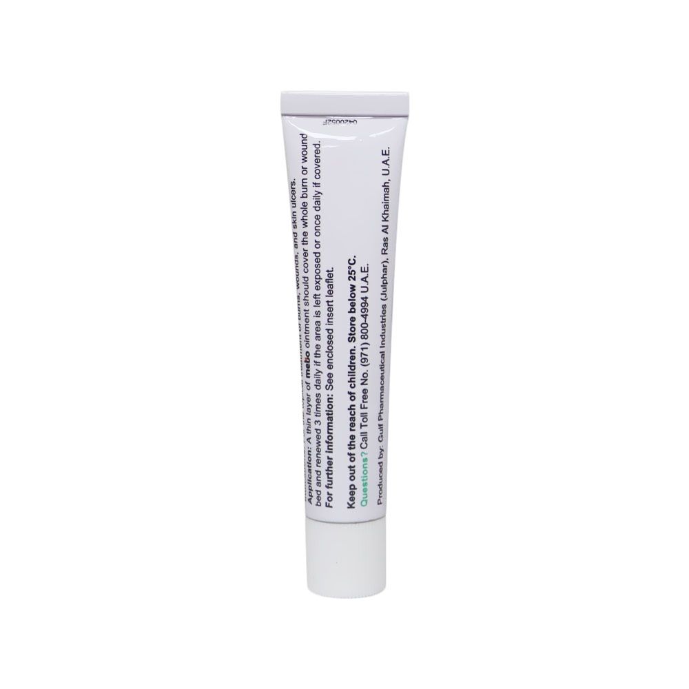 Mebo 0.25% Ointment 15 g