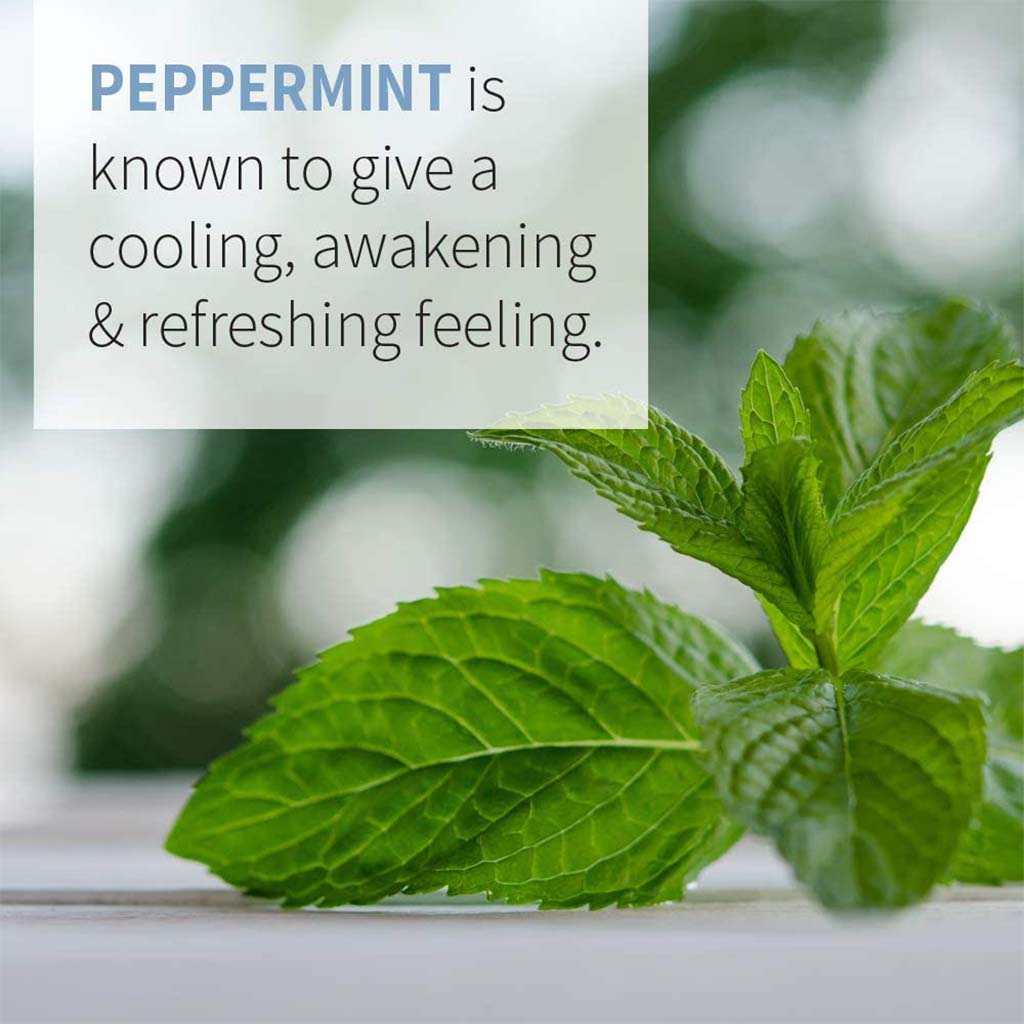 Now Essential Oils Peppermint Oil For Aromatherapy 30ml