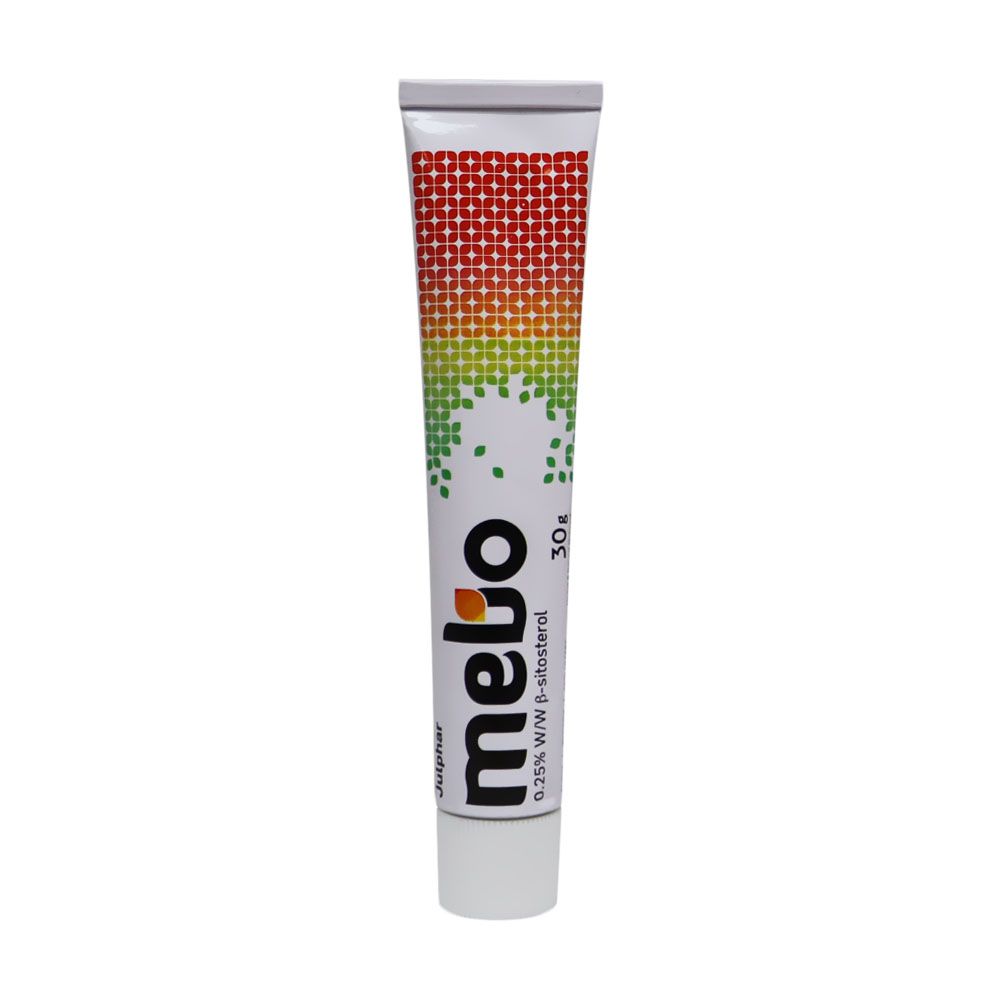 Mebo 0.25% Ointment 30 g