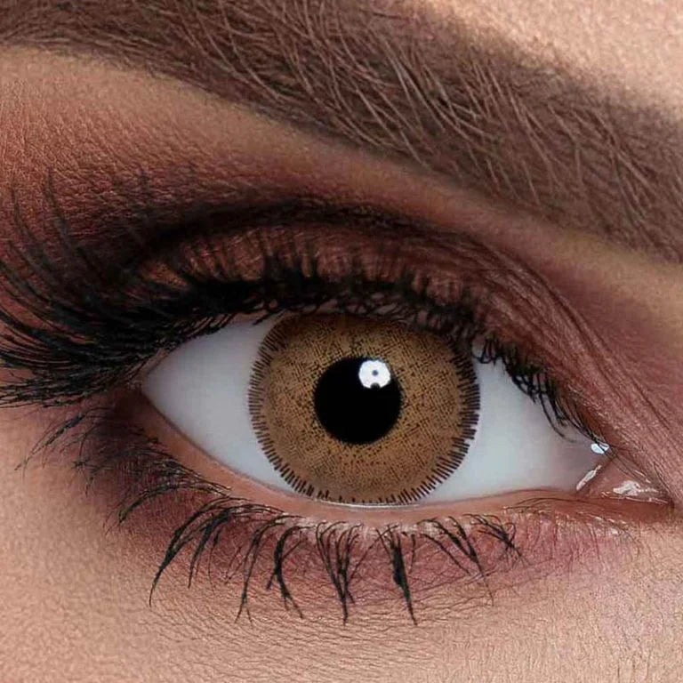 One Pair Color Contact Lenses for Single Use | Sama One-Day Lenses (Brown Gray) Sama